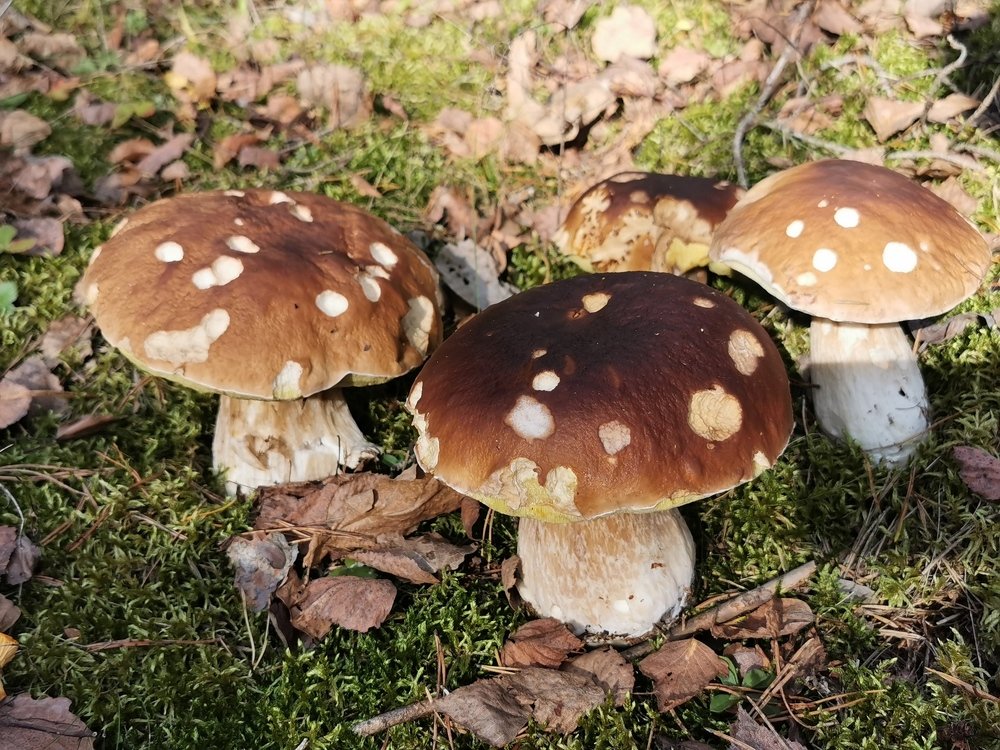 Фотография автора Рутковская Жанна