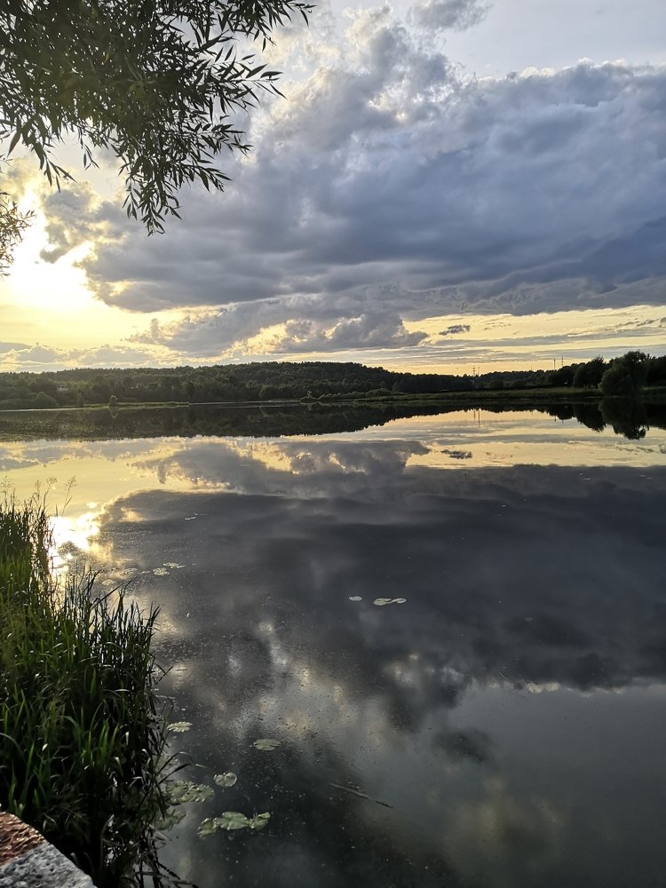 Photograph by Анастасия