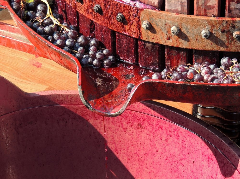 Photograph by Ionescu Stelian