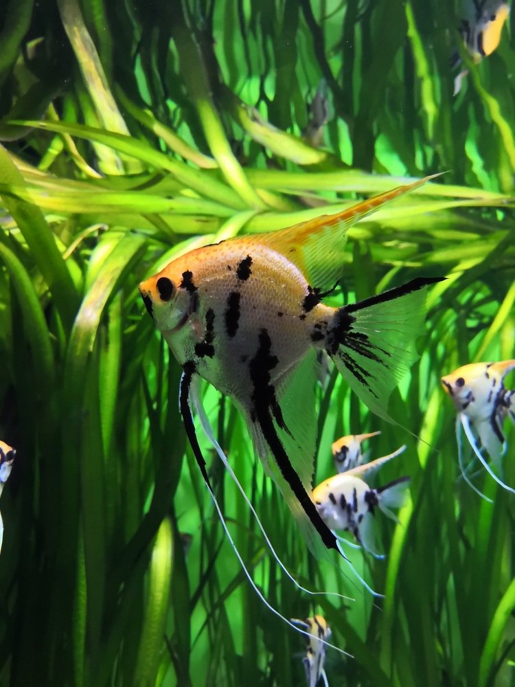 Photograph by  Анастасия