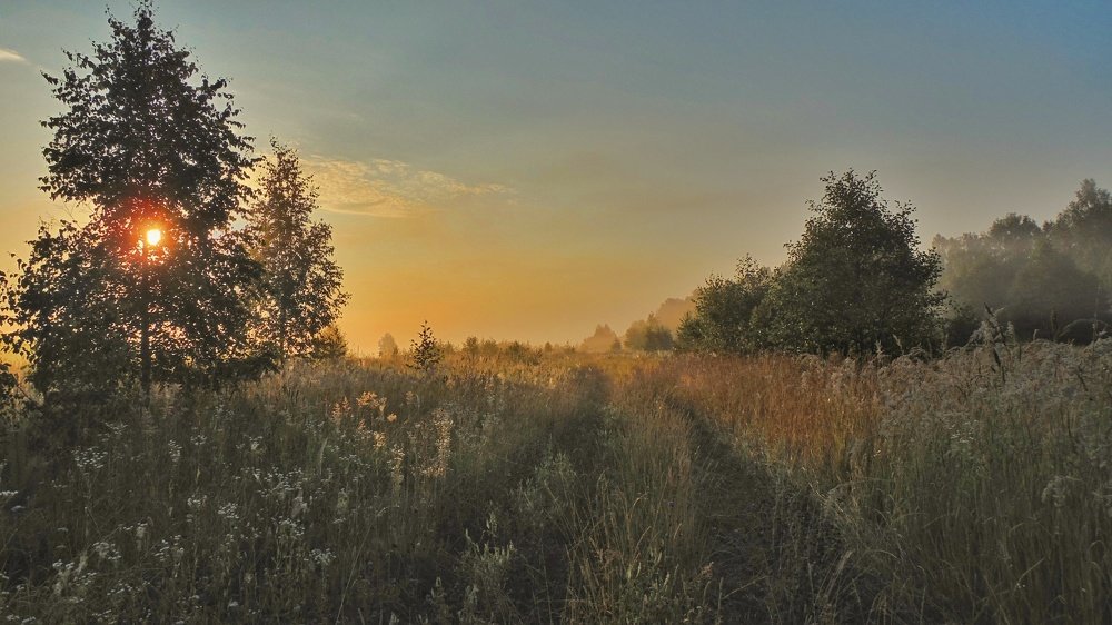 Photograph by Михаил Никитин