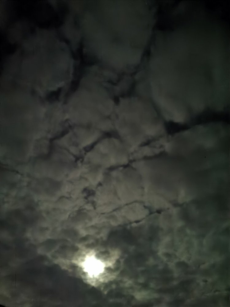 Фотография автора Рутковская Жанна