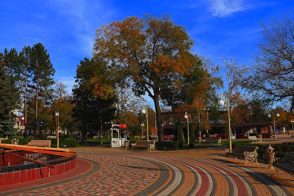 Photograph by Владимир Бурцев