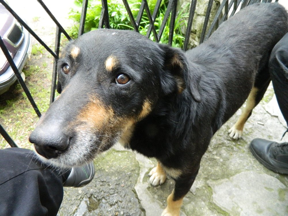 Фотография автора Сергей Рапопорт