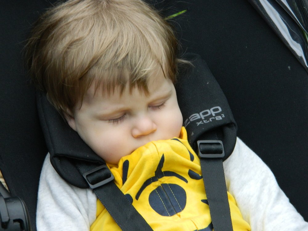 Фотография автора Сергей Рапопорт