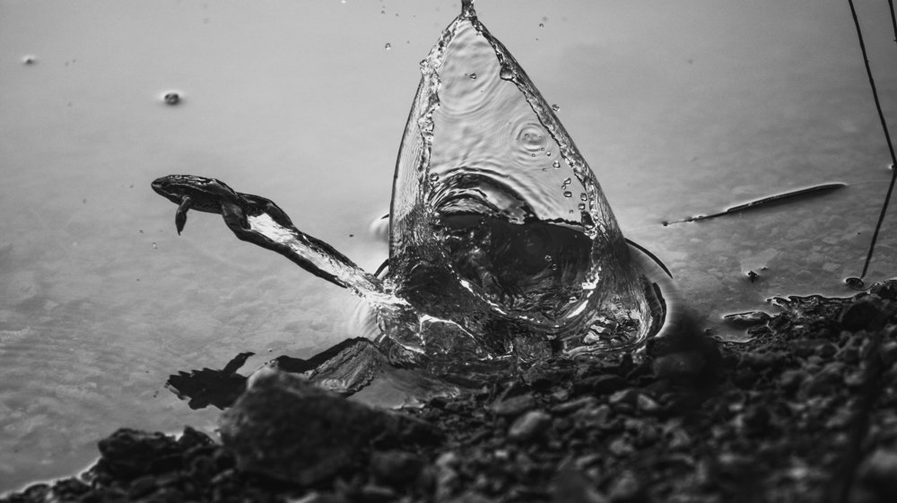 Photograph by Артём Корнев