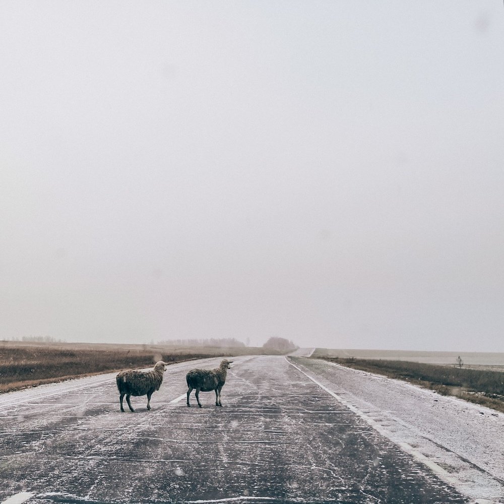 Photograph by Кристина Миронова