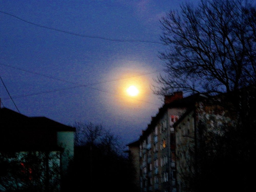 Фотография автора Сергей Рапопорт