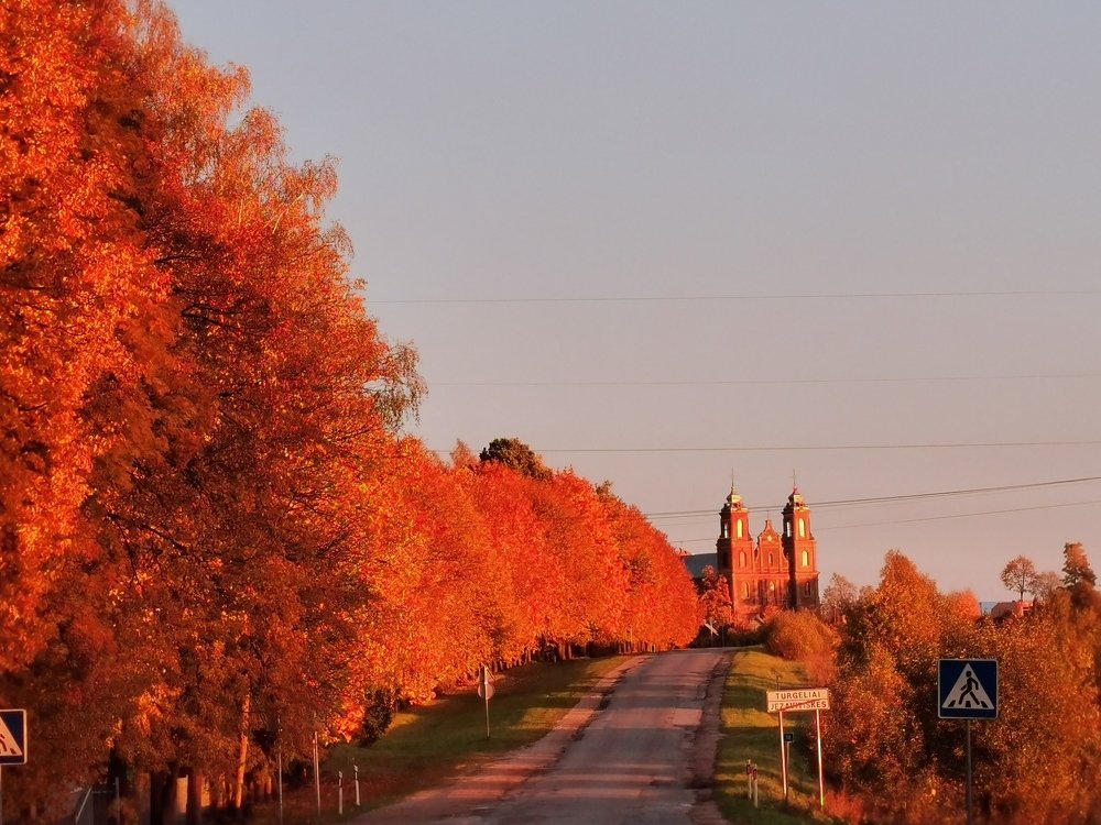 Фотография автора Рутковская Жанна