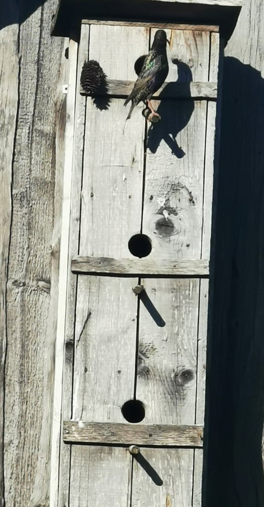 Фотография автора Рутковская Жанна