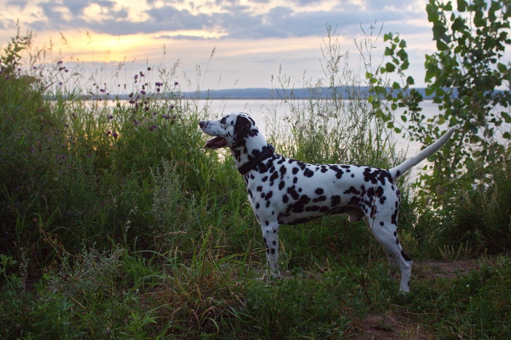 Photograph by миша