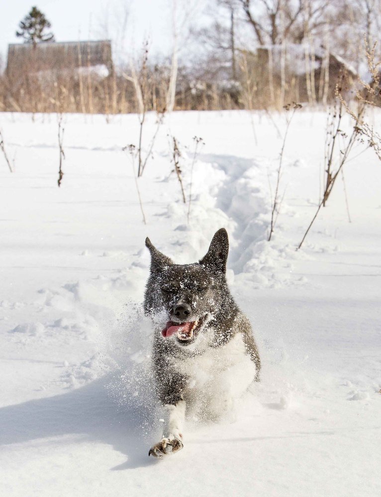 Фотография автора Сергей Метелица