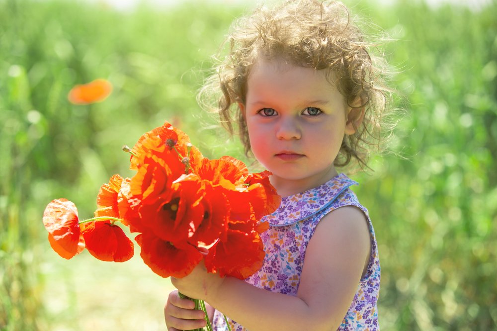 Фотография автора Алексей Пожаренко