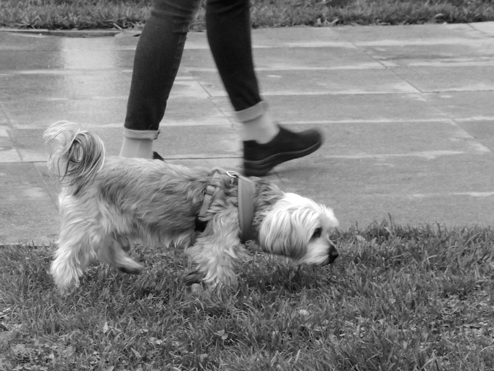 Photograph by Ionescu Stelian