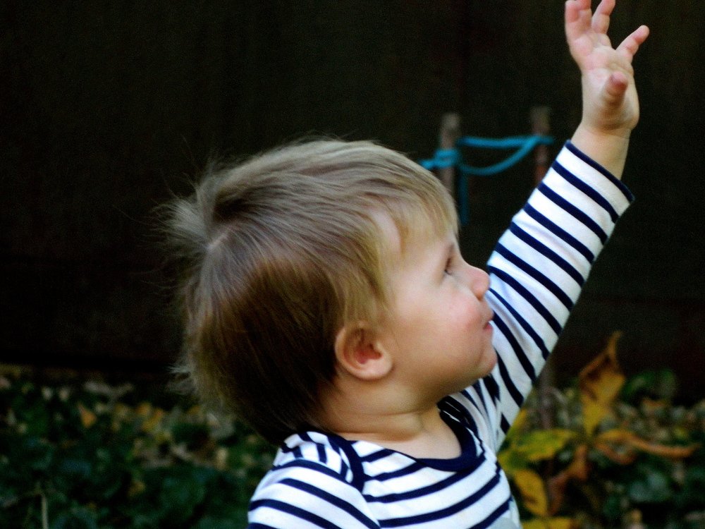 Фотография автора Сергей Рапопорт