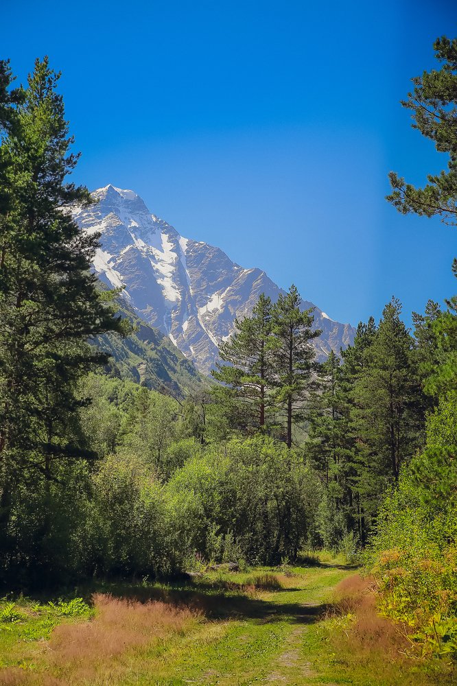 Photograph by Ольга Воскресенская