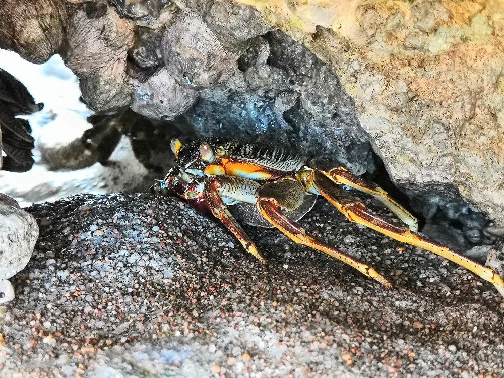 Photograph by Богдан Кандауров