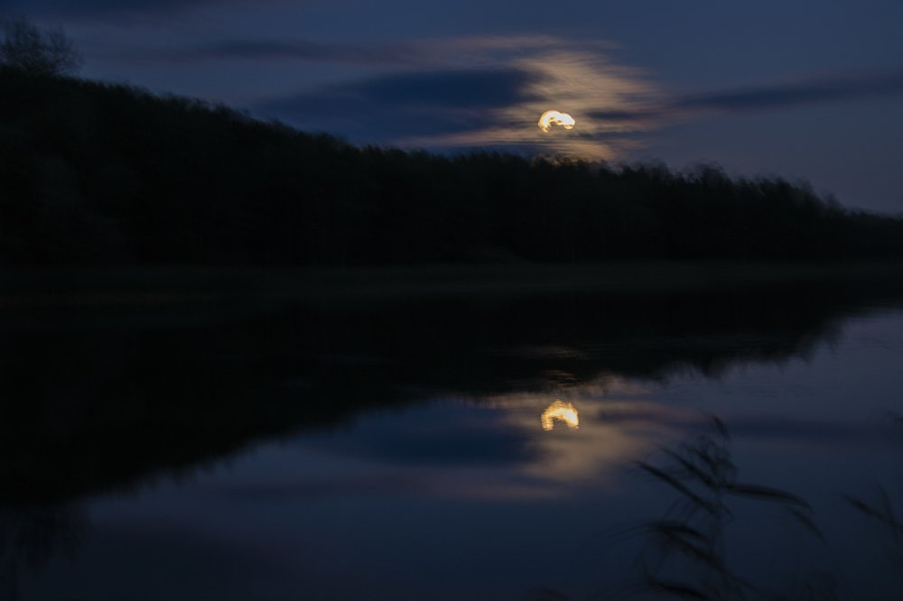 Photograph by миша