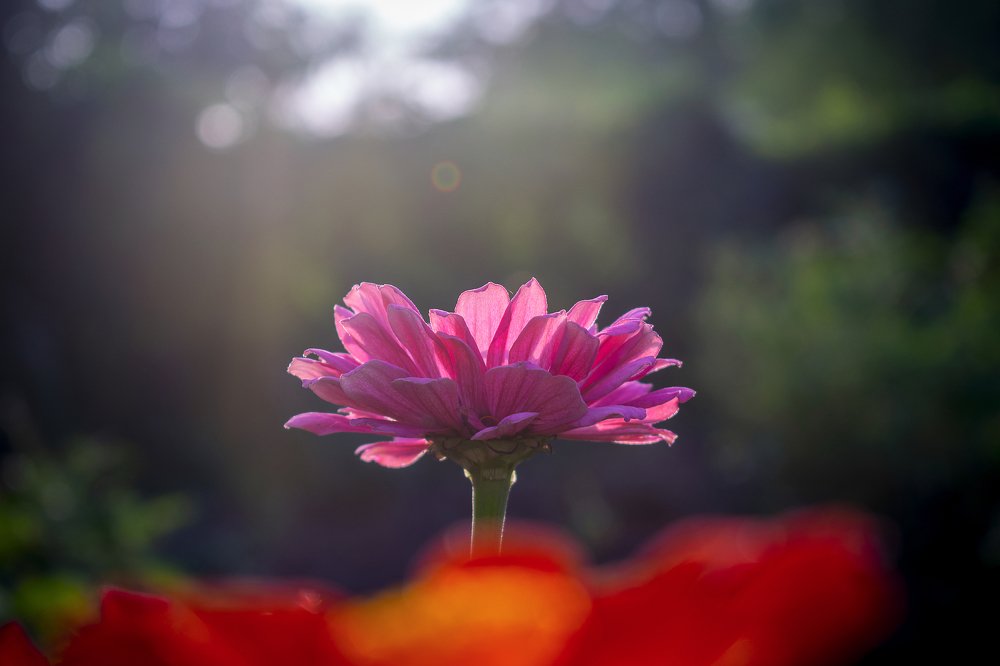 Photograph by Артём Буц