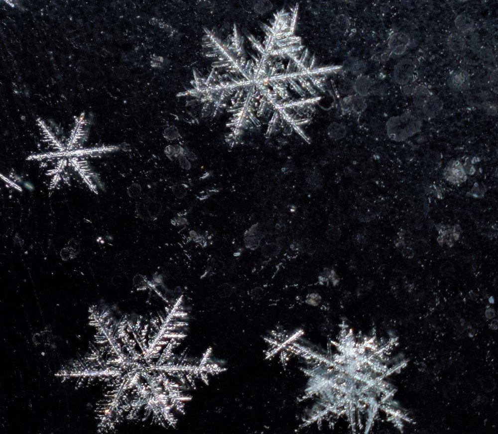 Photograph by Алексей Усов