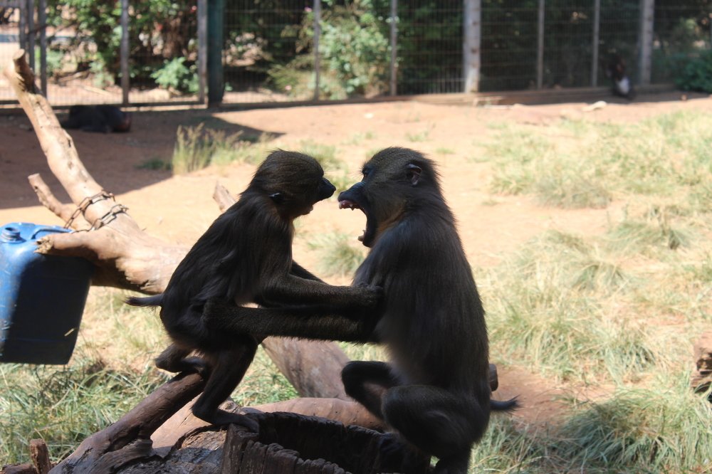 Photograph by Богдан Кандауров