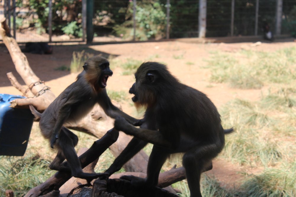 Photograph by Богдан Кандауров