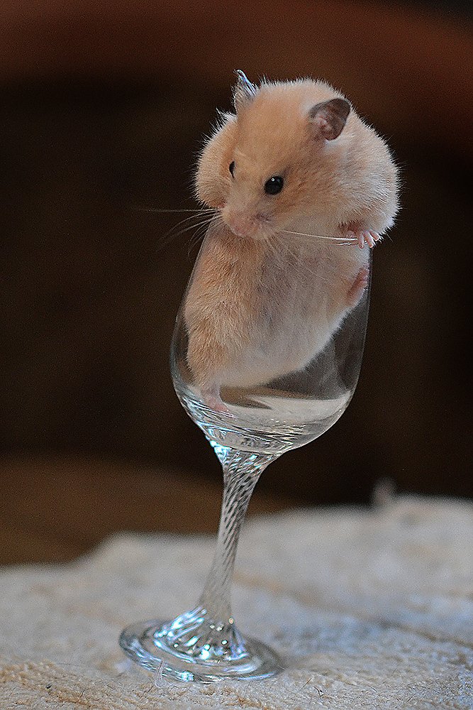 Photograph by Елена Маринина