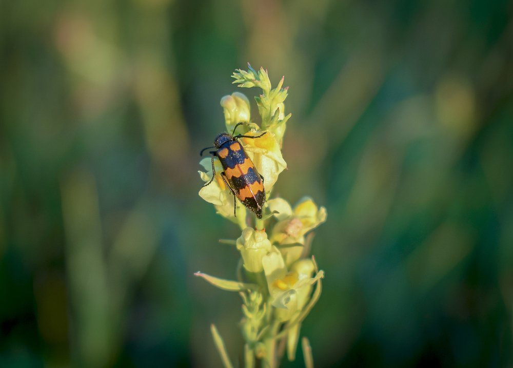 Photograph by Артём Буц