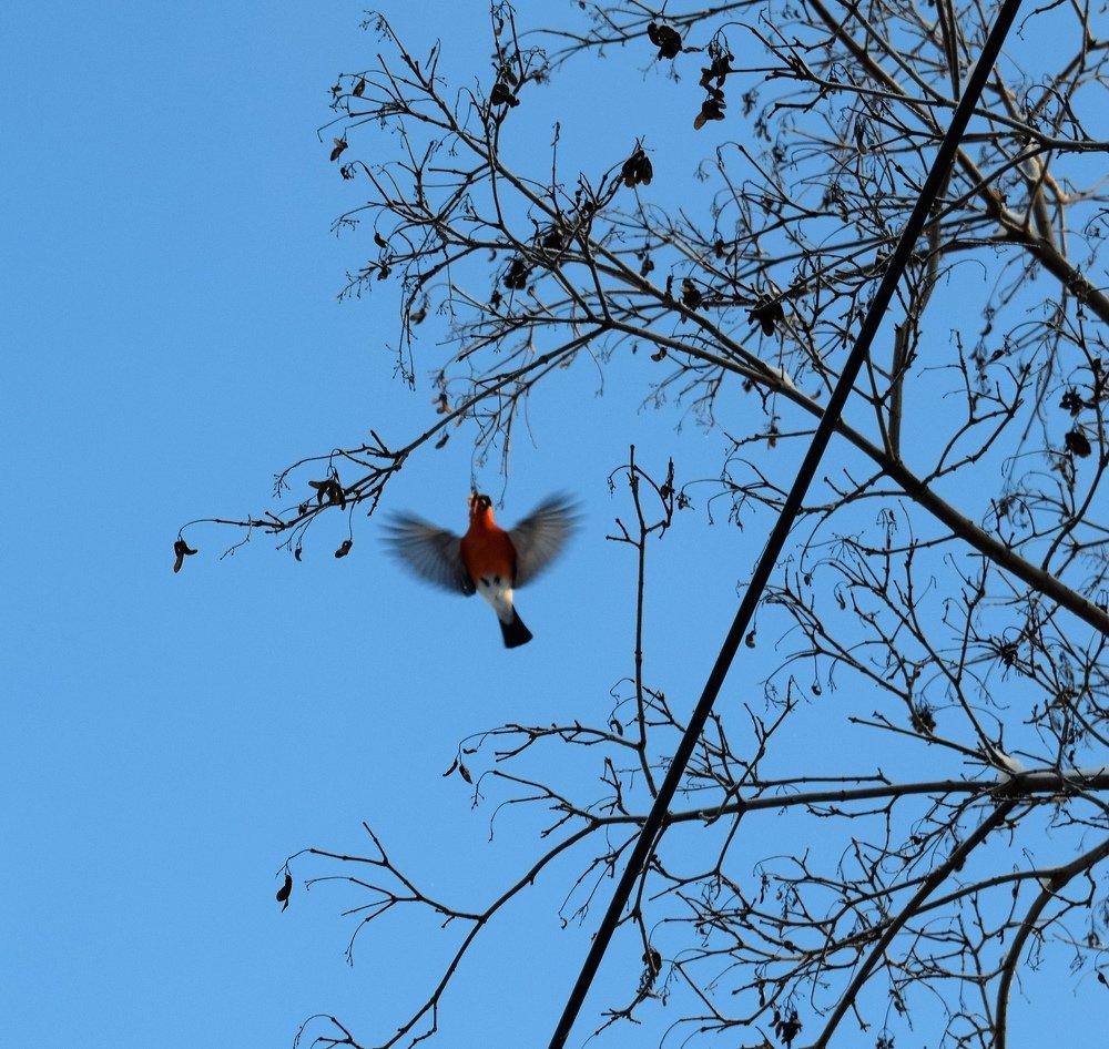 Photograph by Алексей Усов