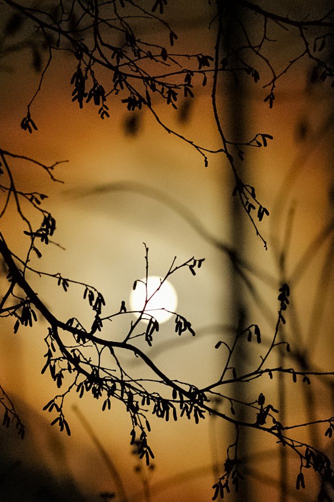 Восход Луны