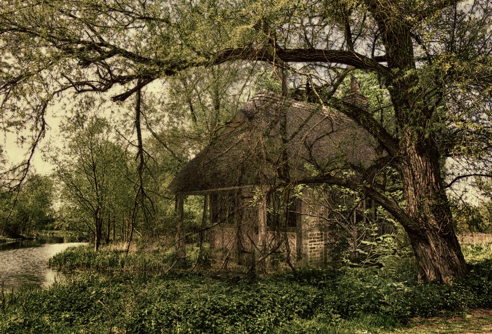 Photograph by Наталья Доменецкая