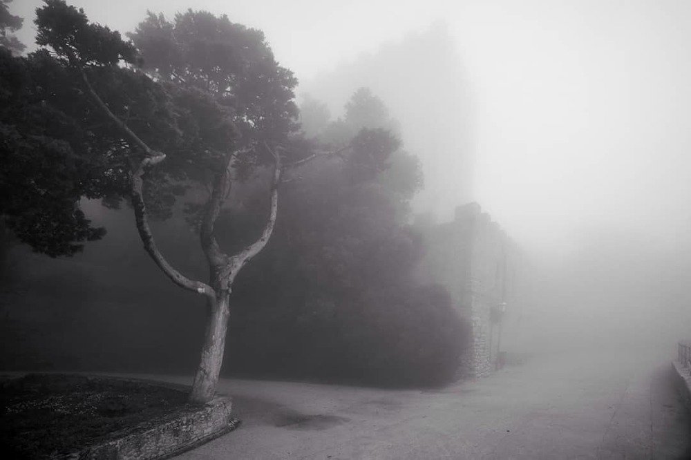 Photograph by Михаил