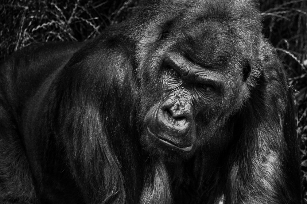 Photograph by Максим Юрков