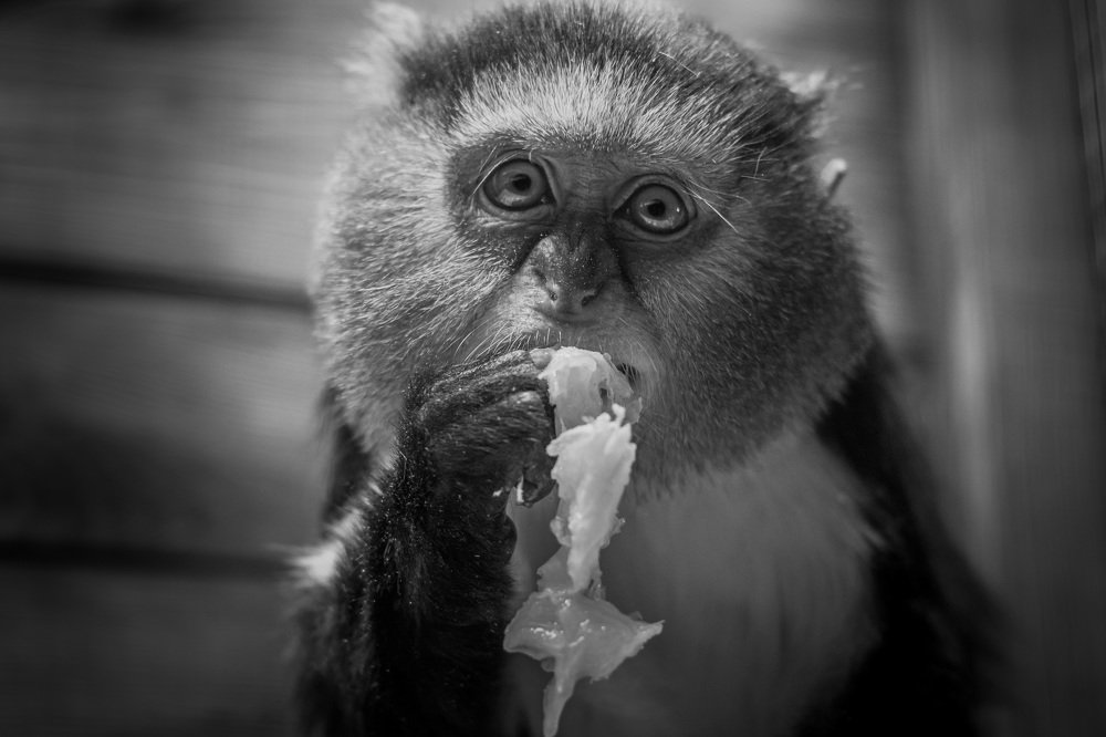 Photograph by Максим Юрков