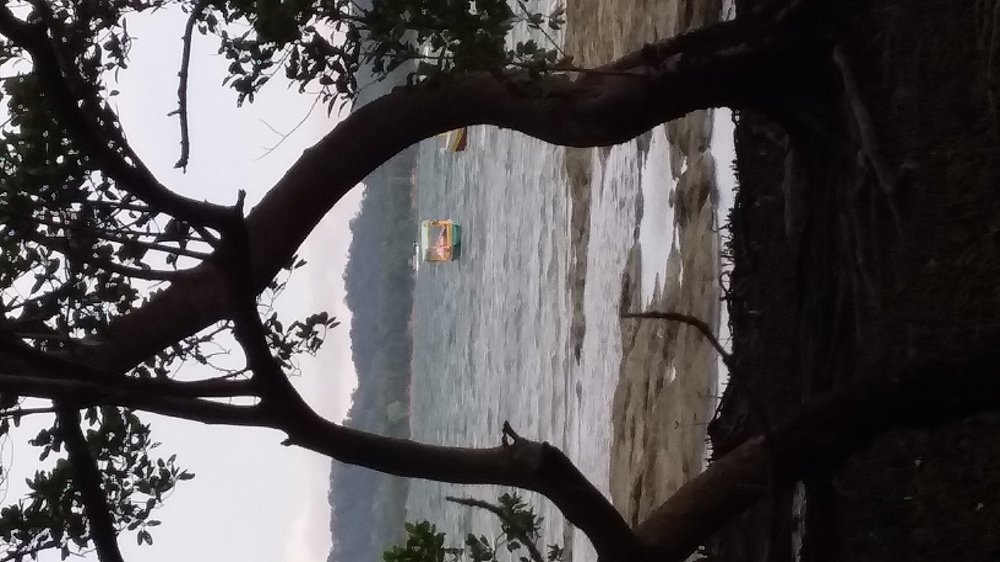 Фотография автора Jorge Lima