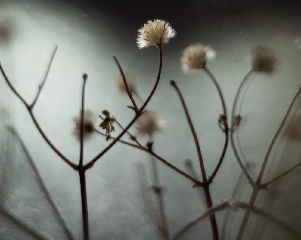 Photograph by Алиса Пономарева