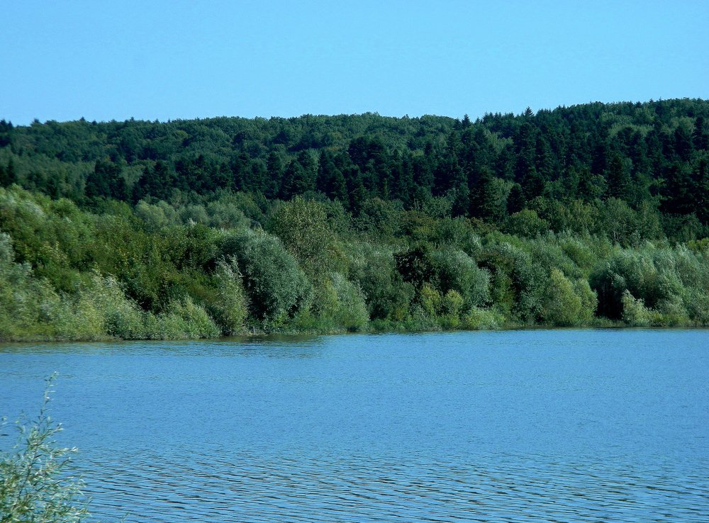 Фотография автора Сергей Рапопорт