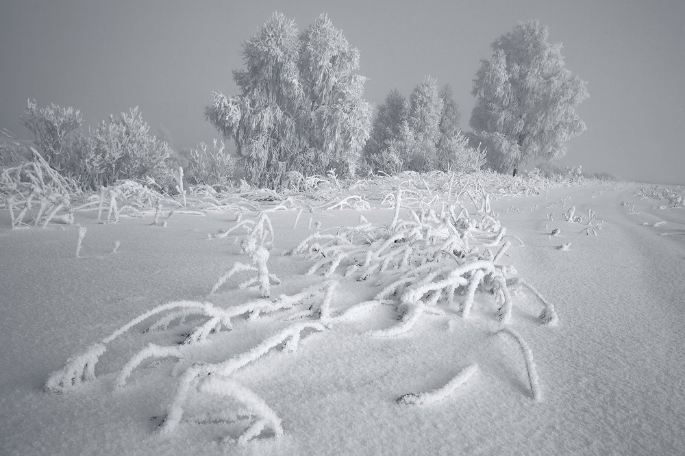 Photograph by Олег Тетерин