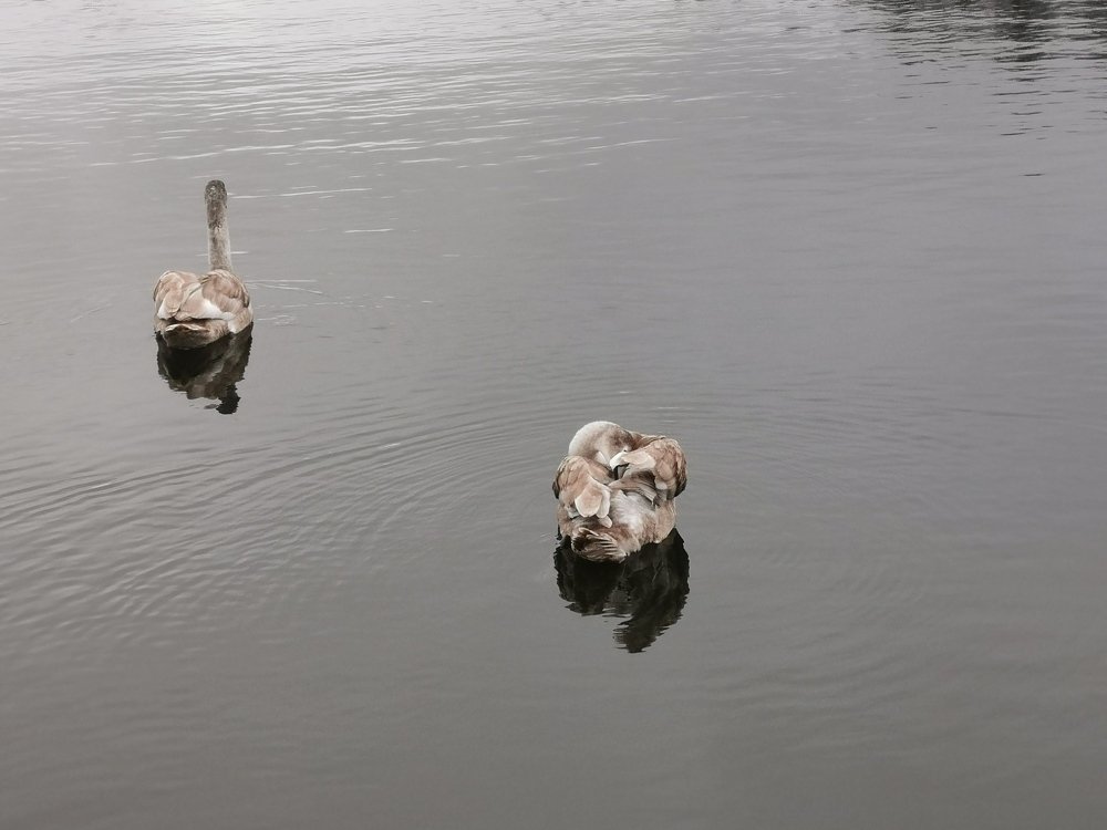 Фотография автора Рутковская Жанна