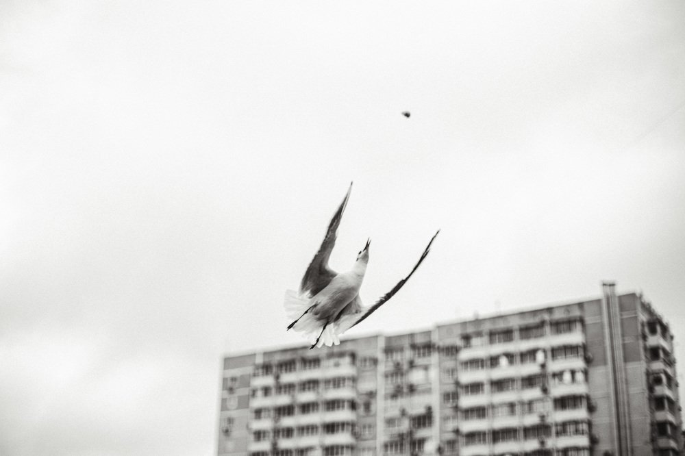 Photograph by Алексей Аксёнов