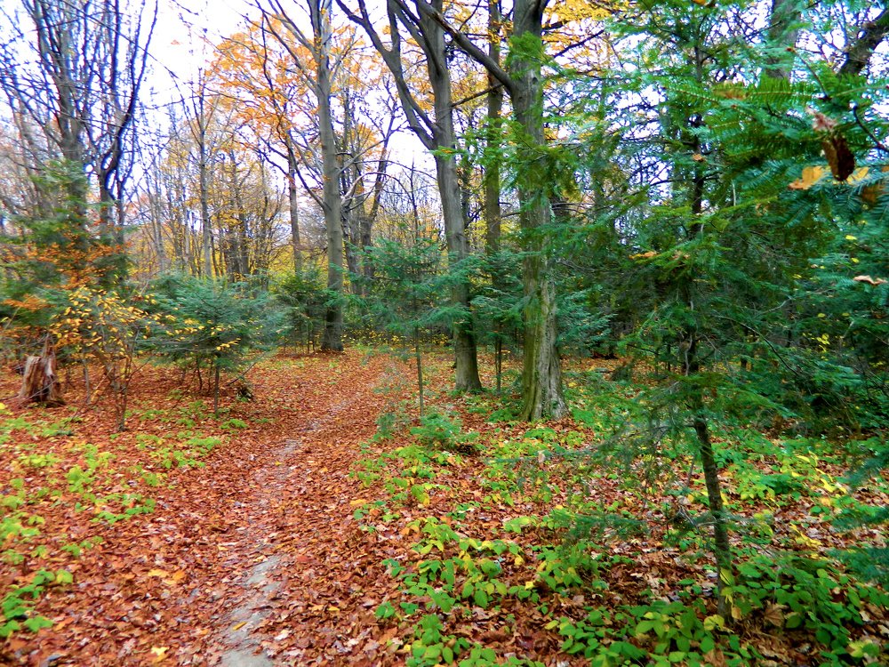 Фотография автора Сергей Рапопорт