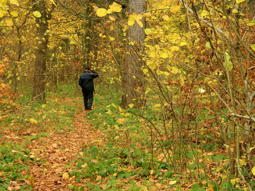 Фотография автора Сергей Рапопорт