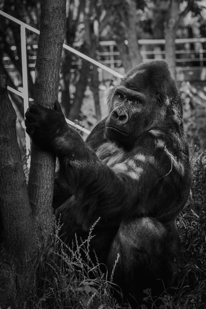 Photograph by Максим Юрков