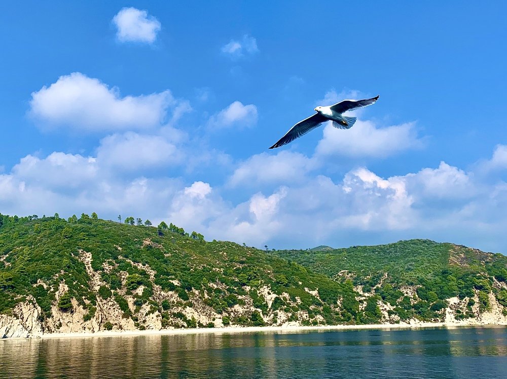 Photograph by Сергей Радченко