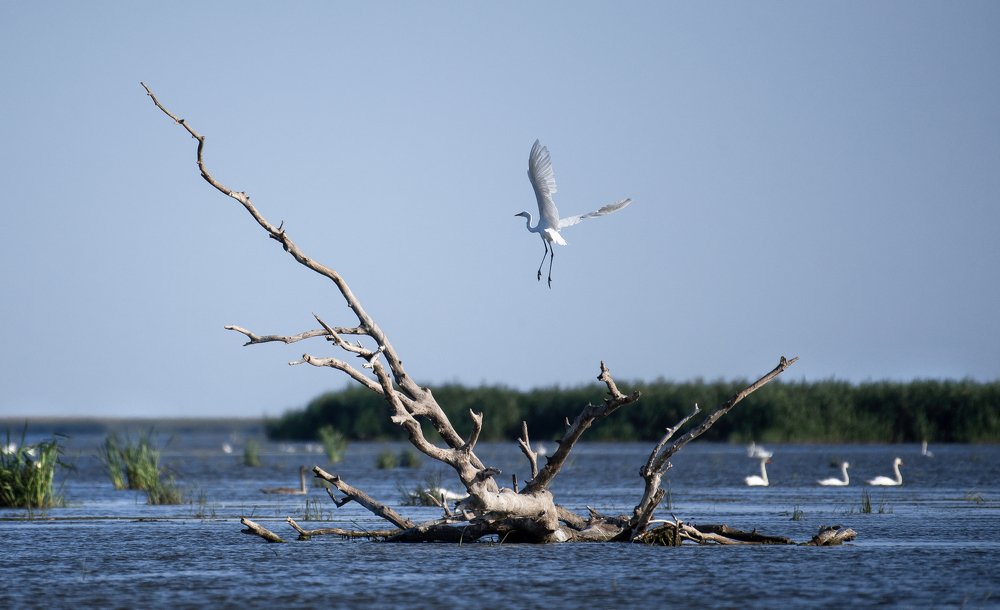Photograph by Елена Савчук
