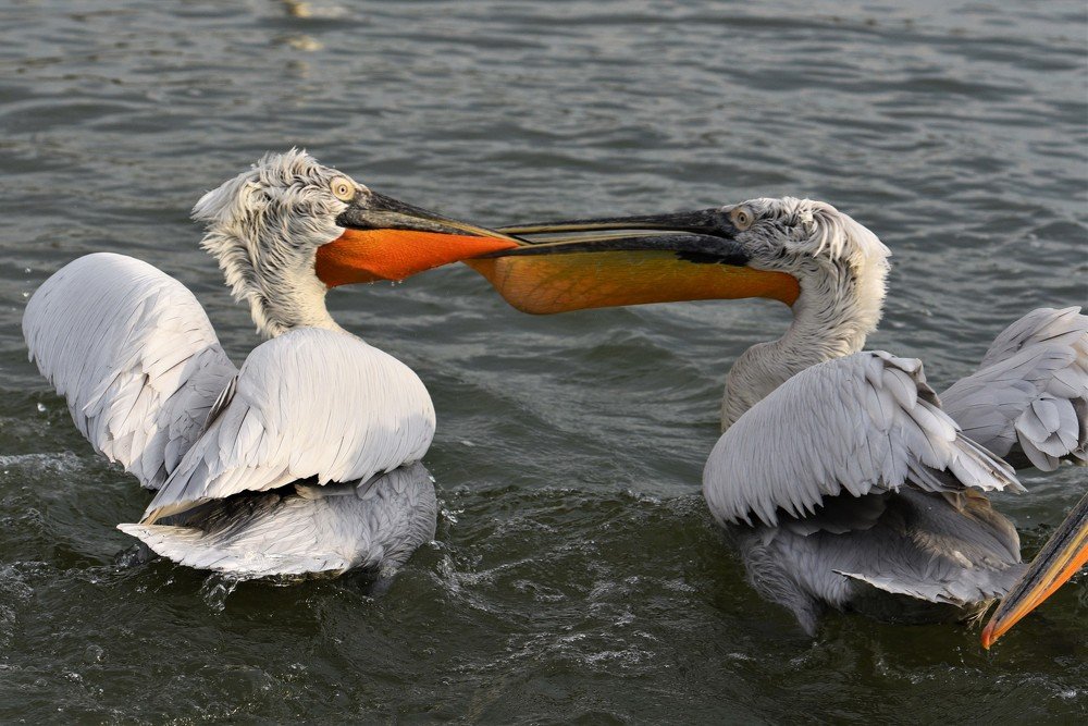 Время обедать.