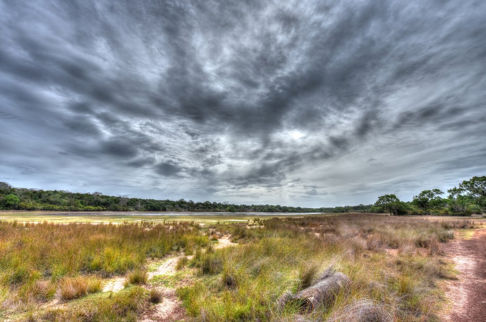 Photograph by pradeep jayasinghe