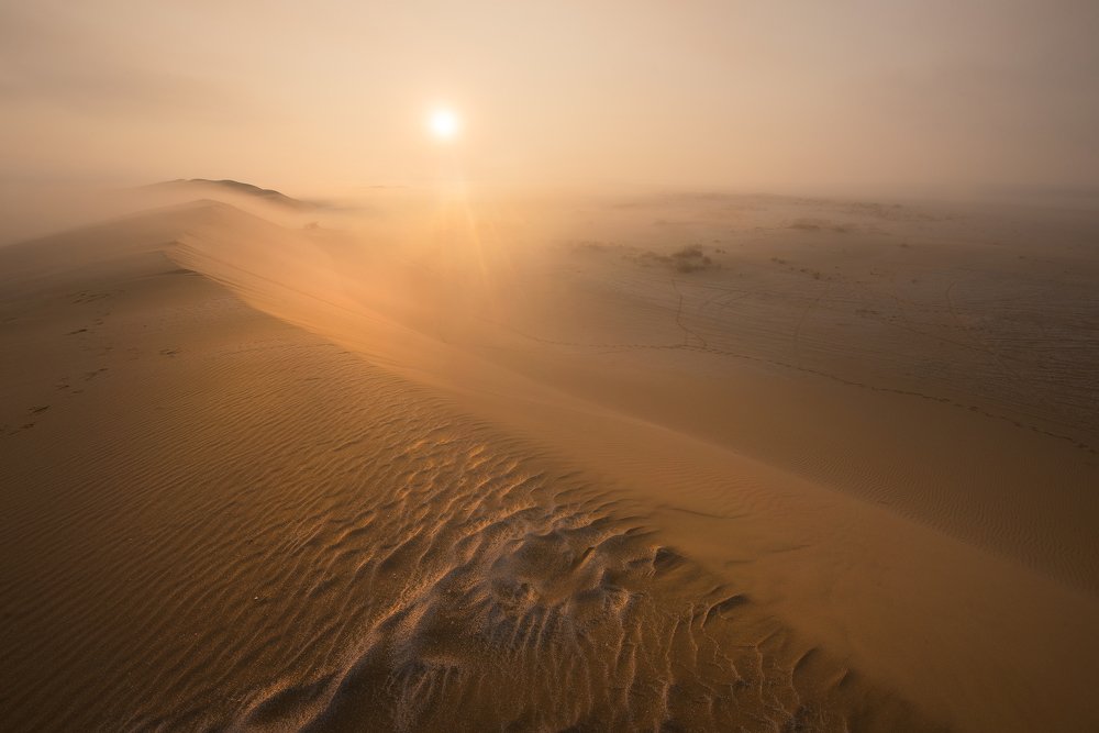 Photograph by Елена Савчук