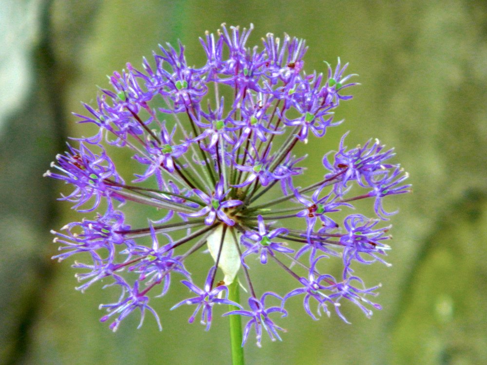 Фотография автора Сергей Рапопорт