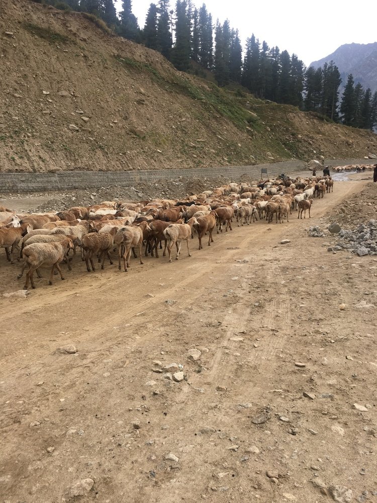 Photograph by Nauman Khan